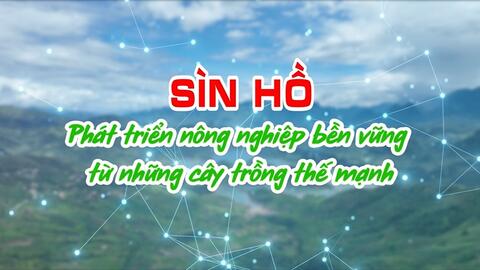 Sìn Hồ phát triển nông nghiệp bền vững từ những cây trồng thế mạnh